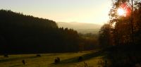 04 die abendsonne schickt letzte strahlen auf die viehweide in buchenau - jetzt gehts heim in den nebel